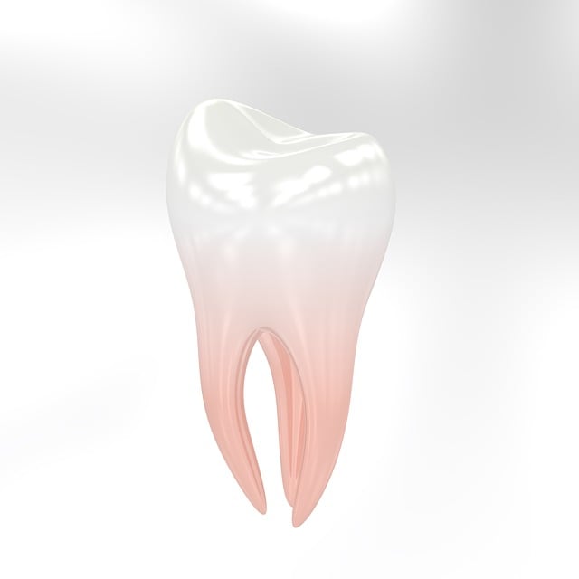 Dentist