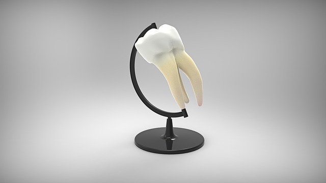 Dentist