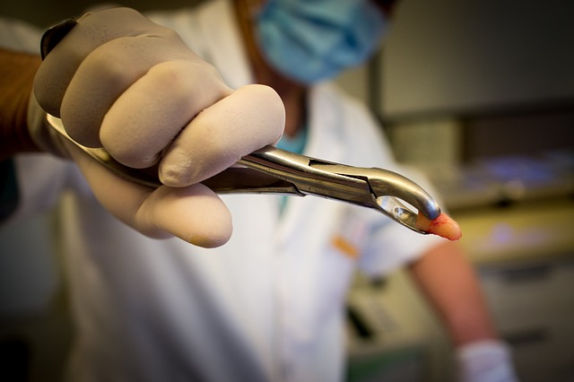 Dentist