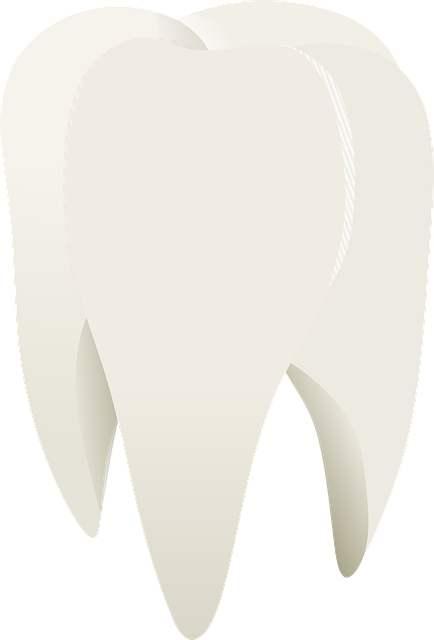 Dentist