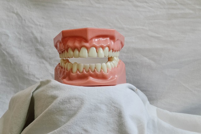 Dentist
