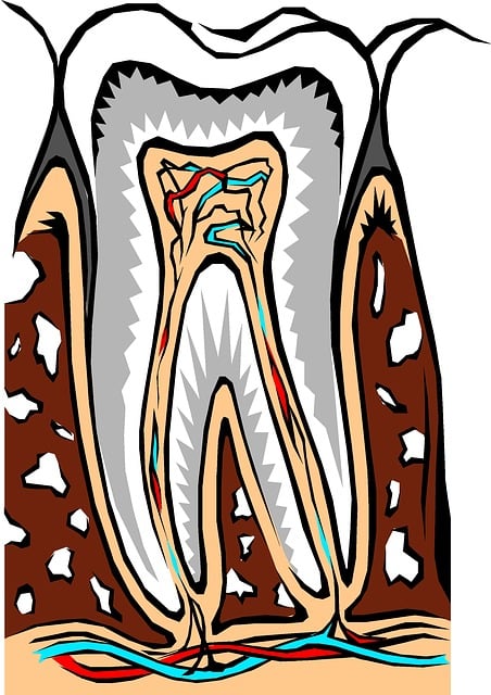 Dentist