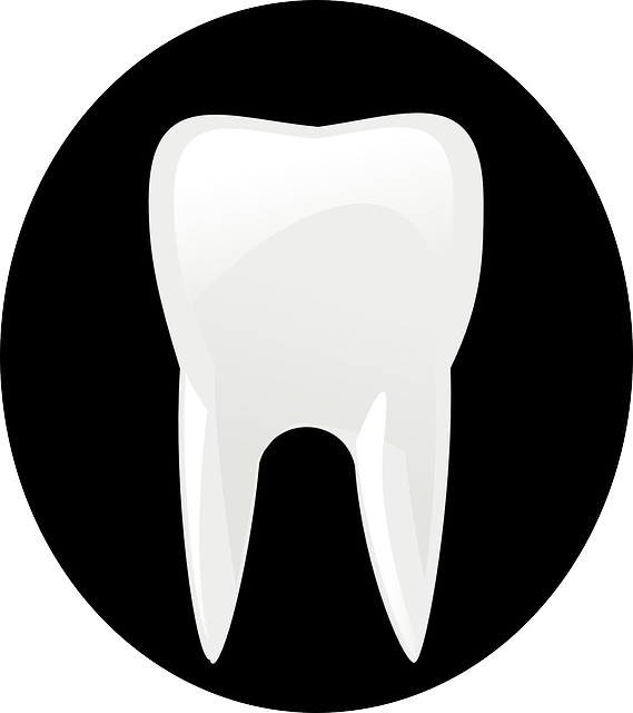 Dentist