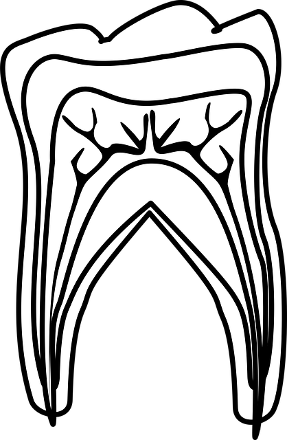 Dentist