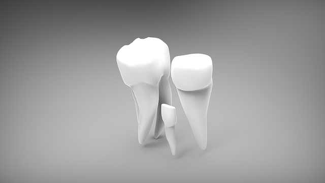 Dentist