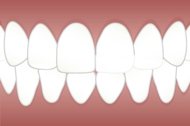 Dentist