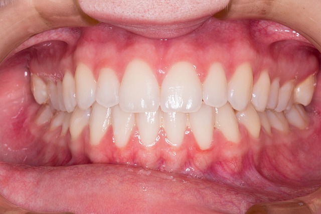 Dentist