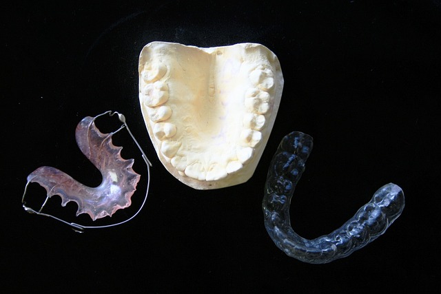 Dentist