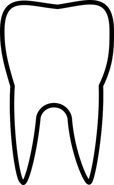 Dentist