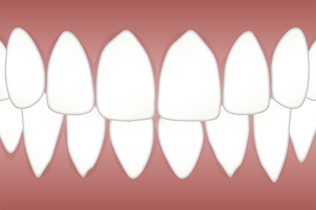 Dentist