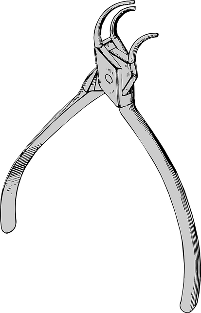npressfetimg-47.png