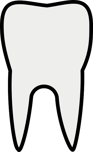 Dentist
