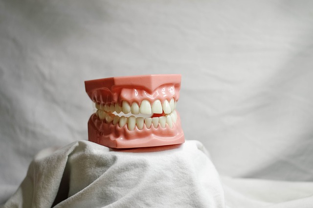 Dentist