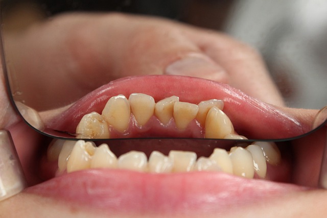 Dentist