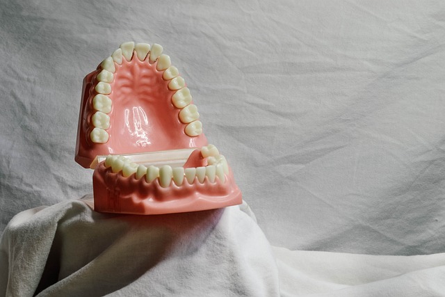 dentist-640x480-39894479.jpeg