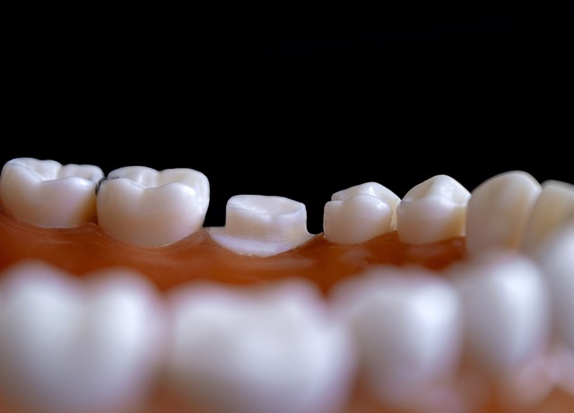 Dentist